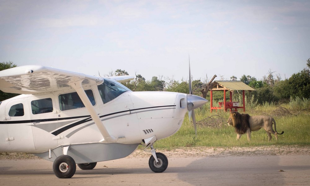 Charter Airlines in South Africa