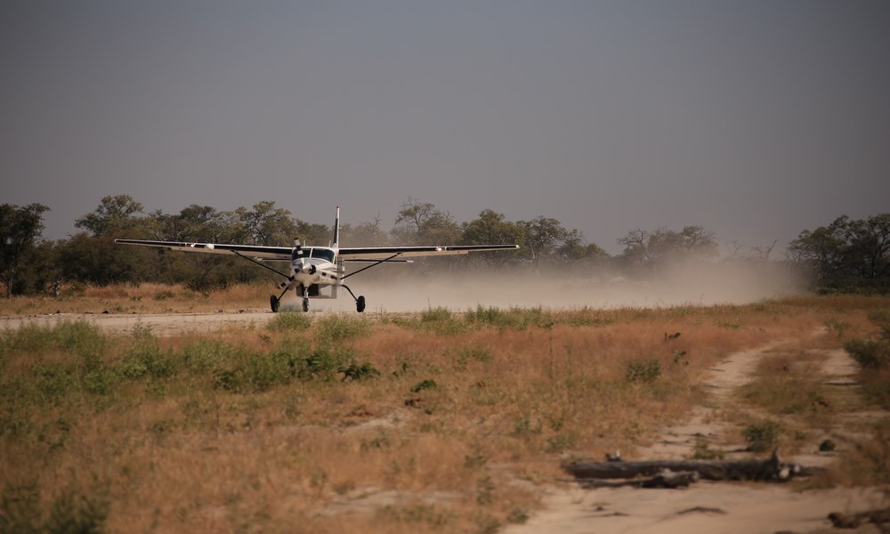 Charter Flights Lake Manyara