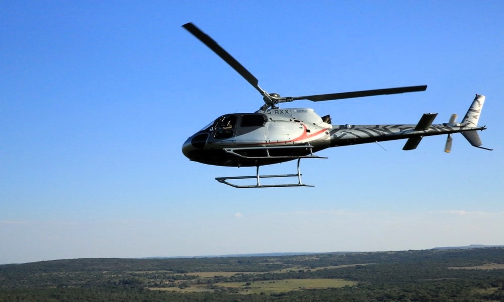 Charter Flights Leobo