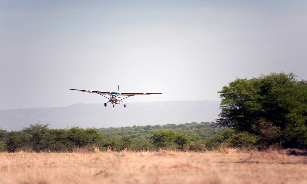 Charter Flights Lewa