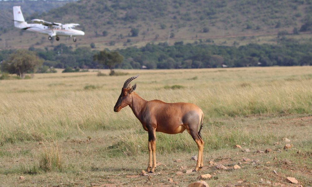 Charter Flights Nairobi