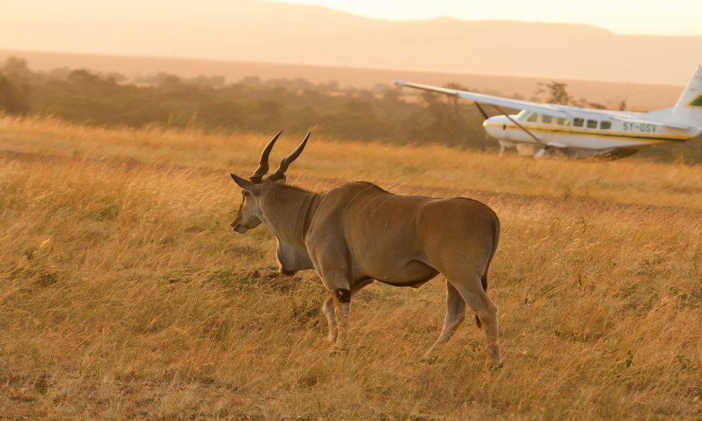 Charter Flights Tsavo