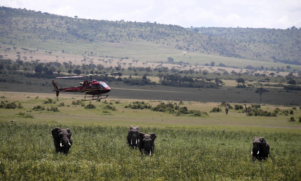 Helicopter Masai Mara