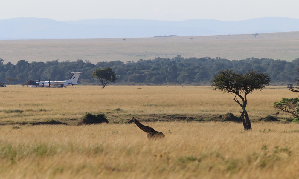 Private Charter Flights Kenya