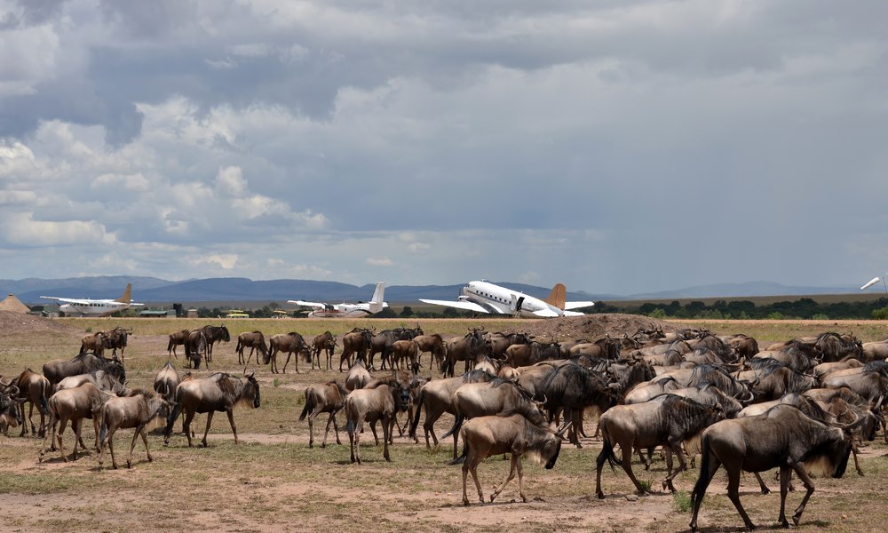 Private Jet For Hire in Kenya